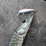  ��������� ���� �� Lucky Craft Bevy Minnow 45SP