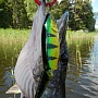 Real Bait 128SP. Прибрежный тростник, медленная равномерная проводка.