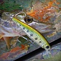Lucky Craft Pointer 48 SP Aurora Bass