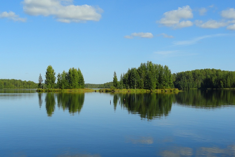 edf7acd9cfc803336cbfcb9e2cf0c041.jpg
